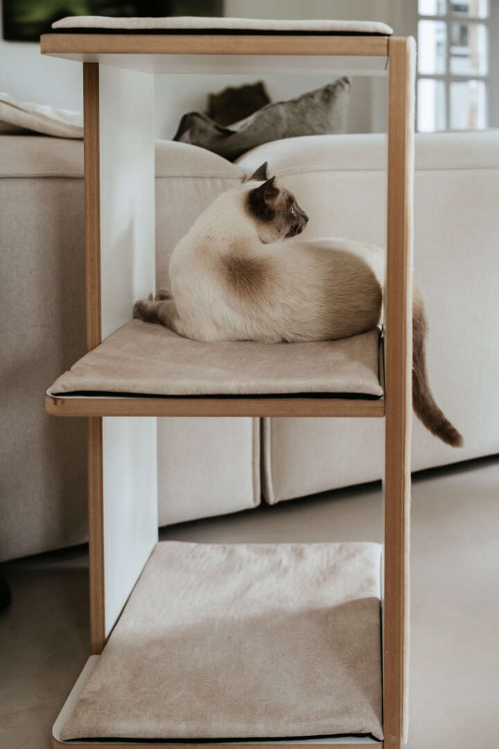 stylecats Kratzturm Tumba mit Sisal